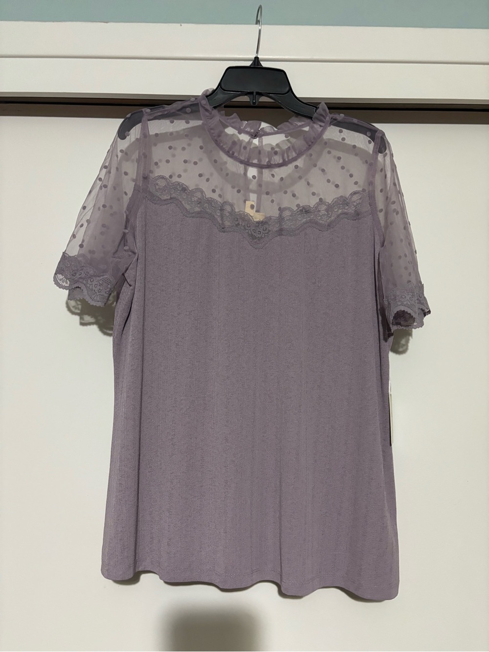 By Blu-pepper Lavender Lace & Sheer Dot Yoke Short Sleeve Top
